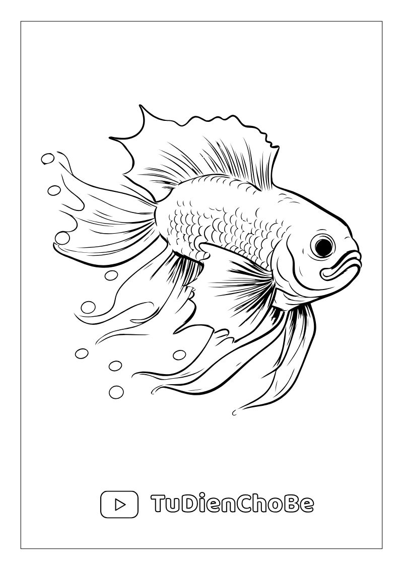 Tranh tô màu động vật biển cho bé – hình vẽ cá, rùa, bạch tuộc, sao biển dễ thương